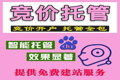 竞价广告投放技巧与案例分析